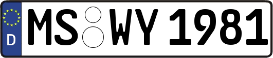 MS-WY1981