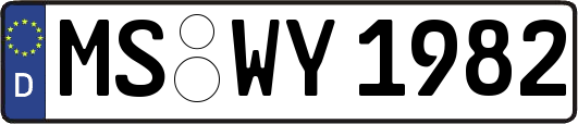 MS-WY1982