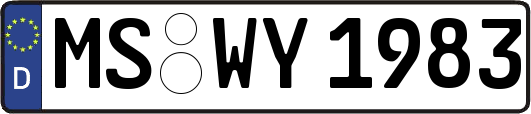 MS-WY1983