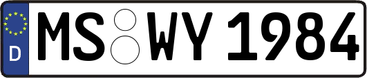 MS-WY1984