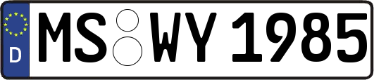 MS-WY1985
