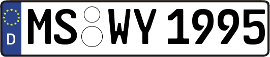 MS-WY1995