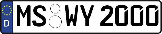 MS-WY2000