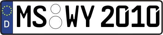MS-WY2010