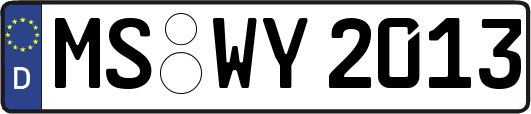 MS-WY2013