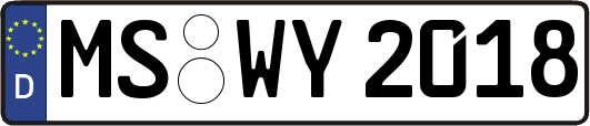 MS-WY2018