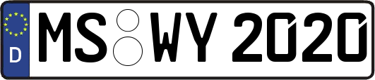 MS-WY2020