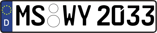 MS-WY2033