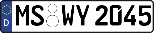 MS-WY2045