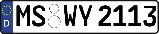 MS-WY2113