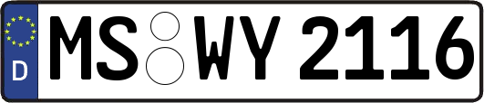 MS-WY2116