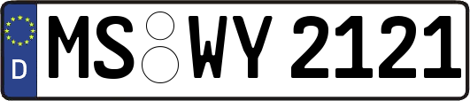 MS-WY2121