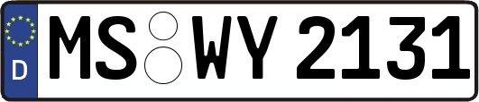 MS-WY2131