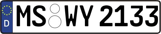MS-WY2133