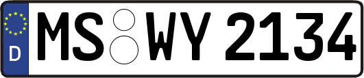 MS-WY2134