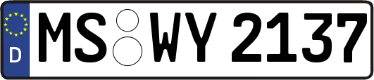 MS-WY2137