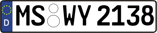 MS-WY2138