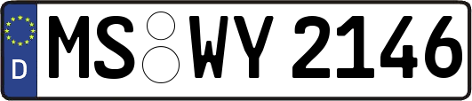 MS-WY2146