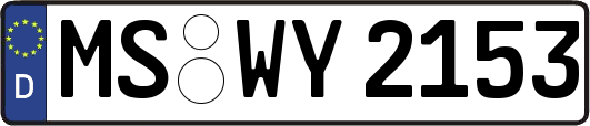 MS-WY2153