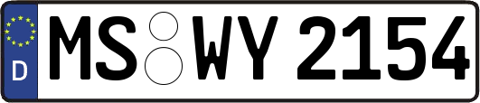 MS-WY2154