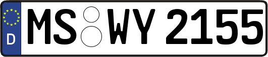MS-WY2155