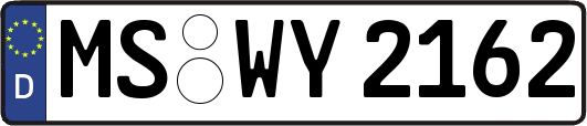 MS-WY2162