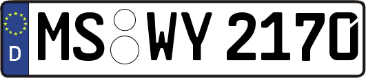 MS-WY2170