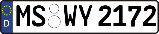 MS-WY2172