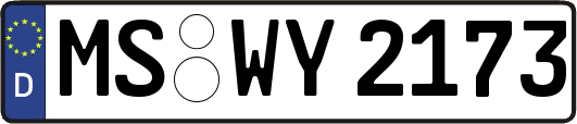 MS-WY2173