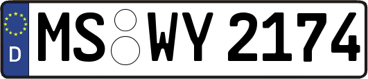 MS-WY2174