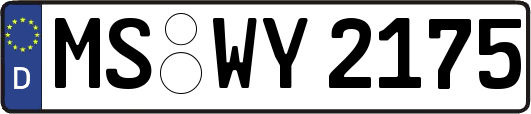 MS-WY2175