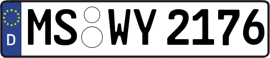 MS-WY2176