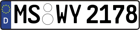 MS-WY2178