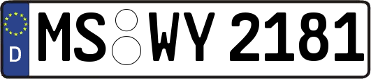 MS-WY2181