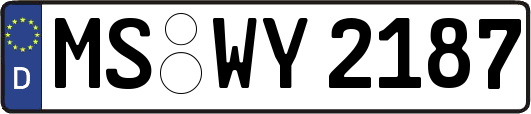 MS-WY2187