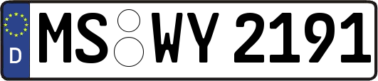 MS-WY2191