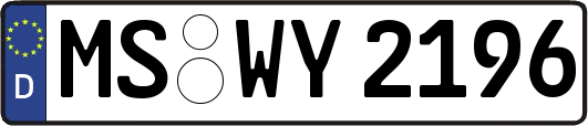 MS-WY2196