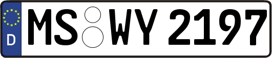 MS-WY2197