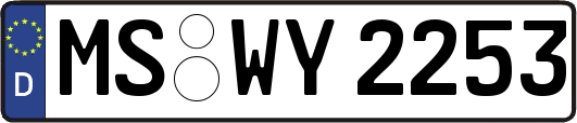 MS-WY2253