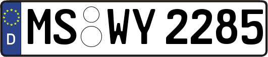 MS-WY2285