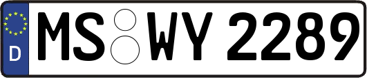 MS-WY2289