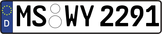 MS-WY2291