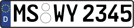 MS-WY2345