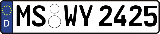 MS-WY2425