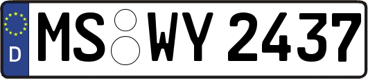 MS-WY2437