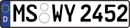 MS-WY2452