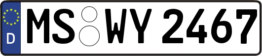 MS-WY2467