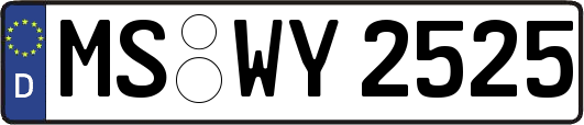 MS-WY2525
