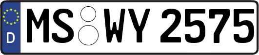 MS-WY2575