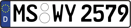 MS-WY2579